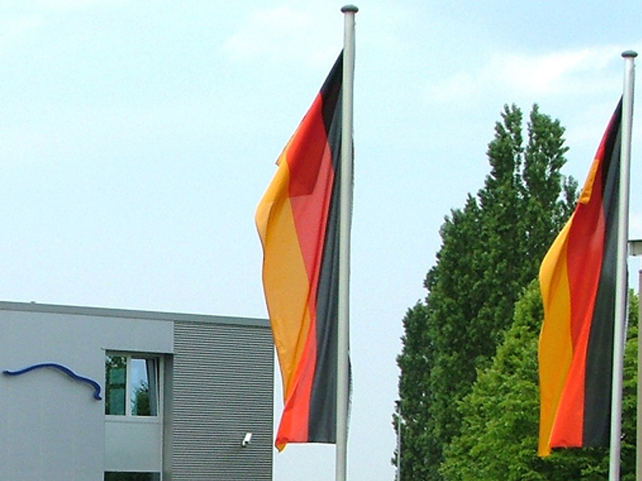 Fahne, Fahnenstoff alle Größen inkl Druck